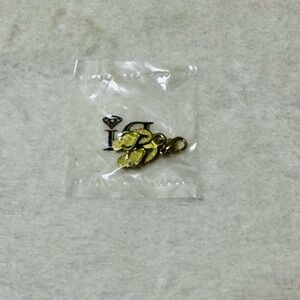 Gold Flip-Flop Charm